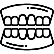 belfamilydent logo